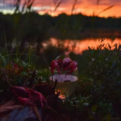 Crayfish on wine glass at sunset