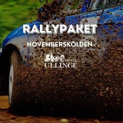 Rally car in the forests of Småland