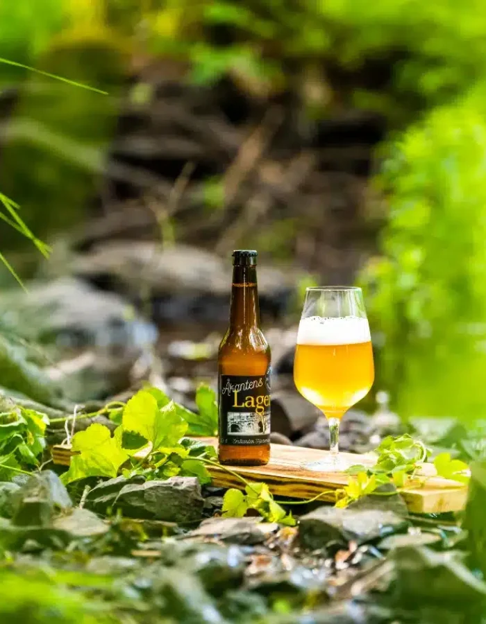 Beer by the water